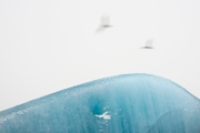 Convergences